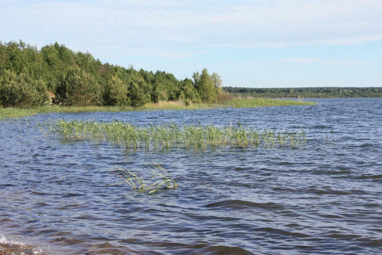 Ferienwohnungen Heideblick Grafenhainichen Exteriér fotografie